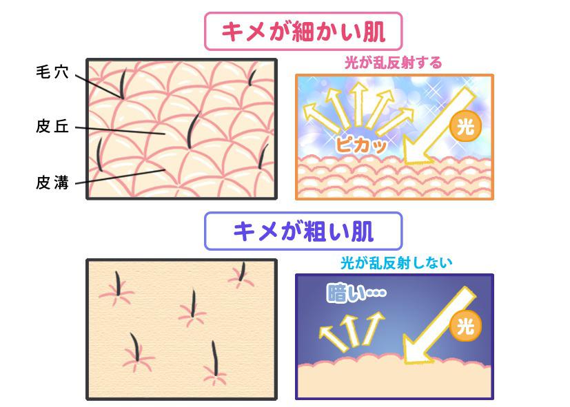 美肌菌に期待できる効果 肌のキメが整い毛穴をケア シミ シワやくすみも予防し透明肌に カラダネ