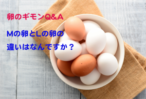 卵のM玉とL玉は、具体的には何が違うの？【卵のギモンQ&A⑭】