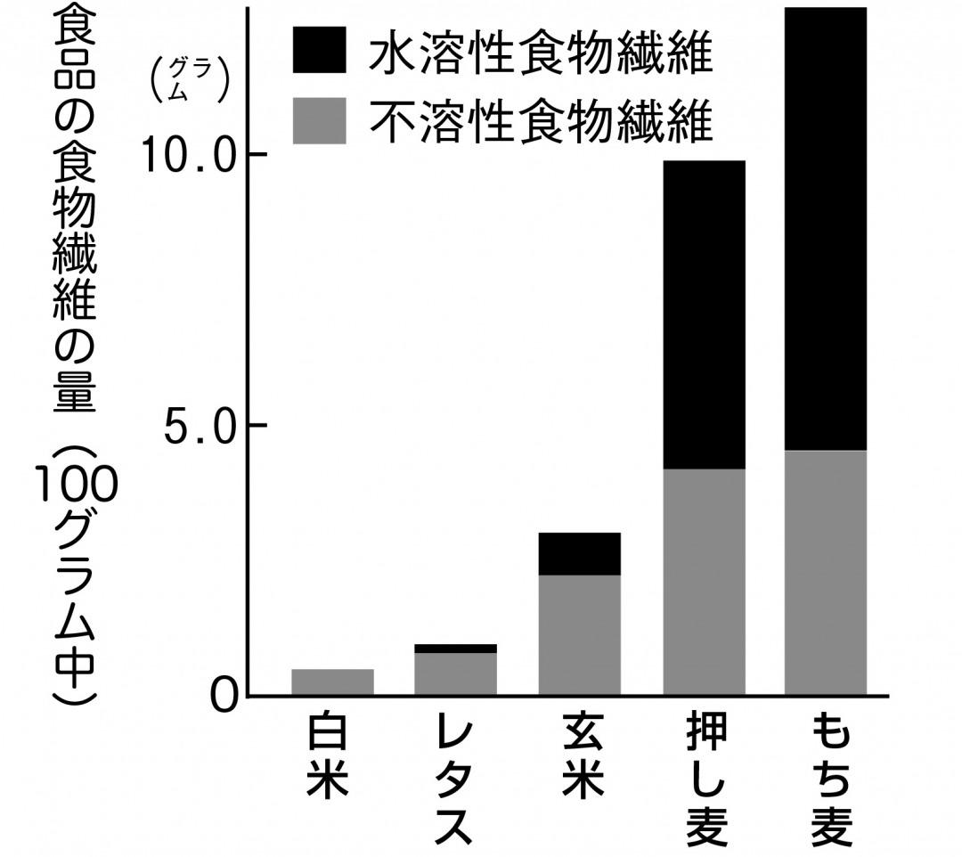 s_食物繊維.jpg