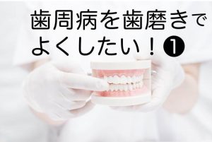 【歯周病を歯磨きで治したい①】歯間をマッサージする歯磨き法がおすすめ。歯肉が再生する？