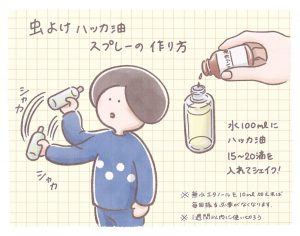 ミニマリストのセルフケア日和(vol.10) ハッカ油を虫除け、かゆみ止め、足のにおい対策に使ってみた