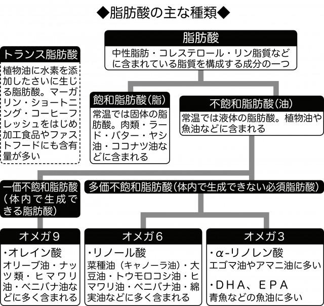 s_脂肪酸の図 (1).jpg