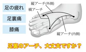 医師解説【足裏が痛い,ひざ痛,足がだるい】が一挙改善!「足裏アーチ体操」で足裏筋を強化