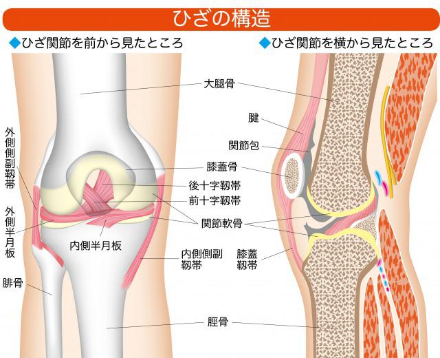 s_わかさ3.jpg