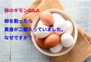 卵を割ったら黄身がなんと2個！なぜ？　黄身が2つかどうかの見分け方は？【卵のギモンQ&A⑫】