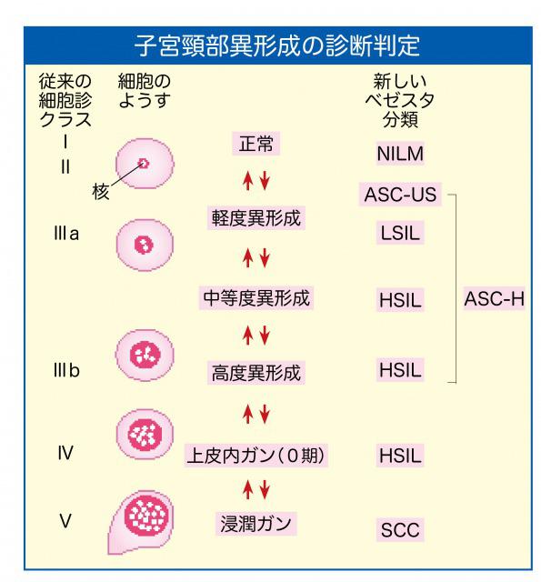 s_00ï¼ã­ã£ãæ®å½±ç¨.jpg