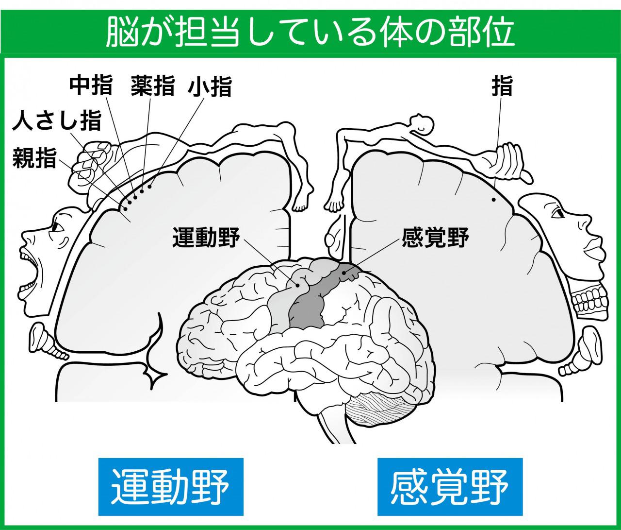 s_コペンクルス.jpg