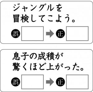 週末に脳活（物忘れ対策や認知症予防に誤字正しドリル【第二弾】）