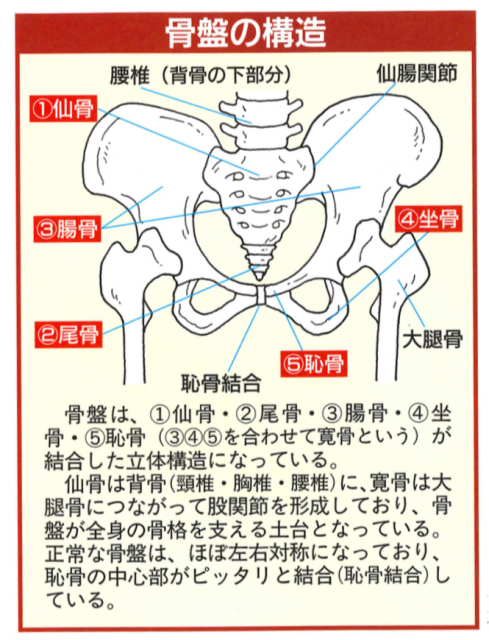 s_ã¹ã¯ãªã¼ã³ã·ã§ãã 2018-09-26 15-2.png