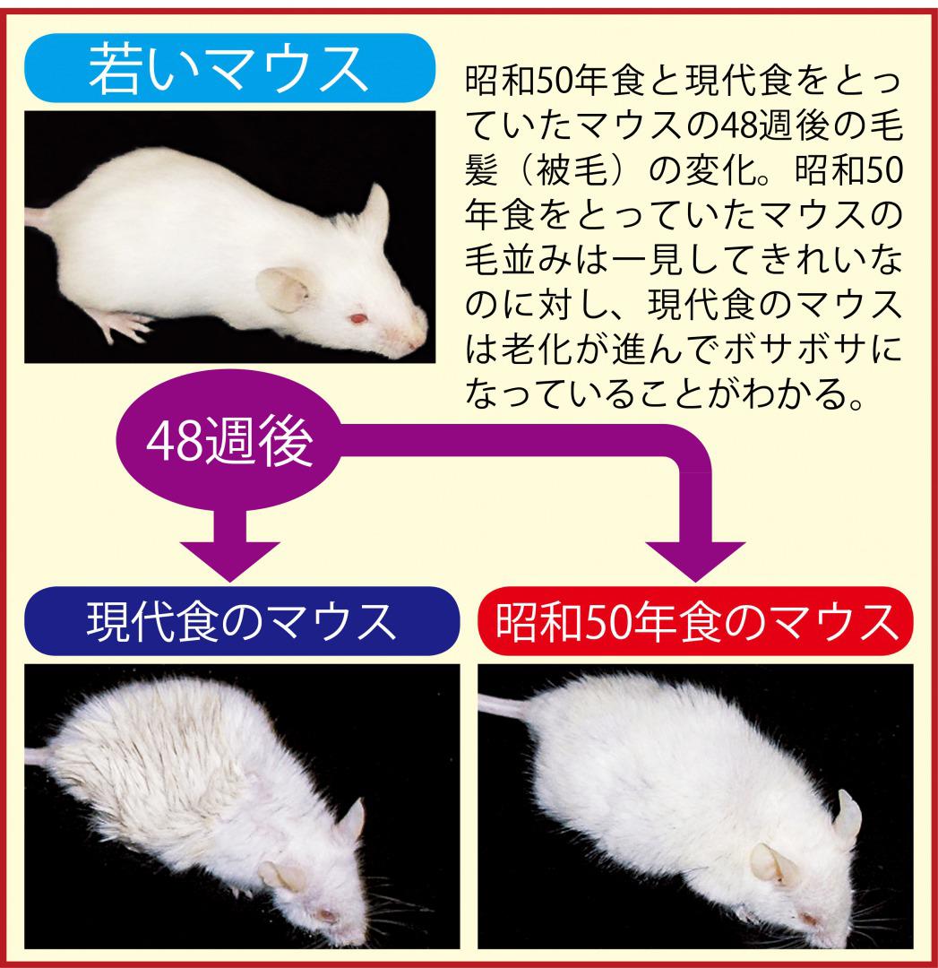 s_50年食マウス.jpg