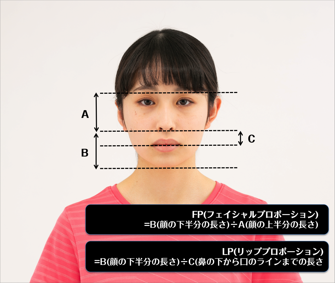 日本人特有の美の基準 であなたの美人度をチェック 美人は顔の下半分で決まる カラダネ