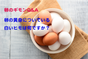 不思議！卵の黄身についている白いヒモの正体。これは何ですか？【卵のギモンQ&A③】