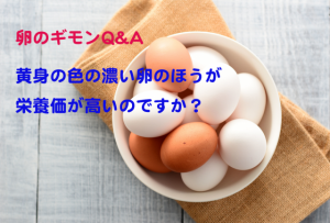 黄身の色の濃い卵のほうが栄養価が高いと聞いた。本当？【卵のギモンQ&A②】