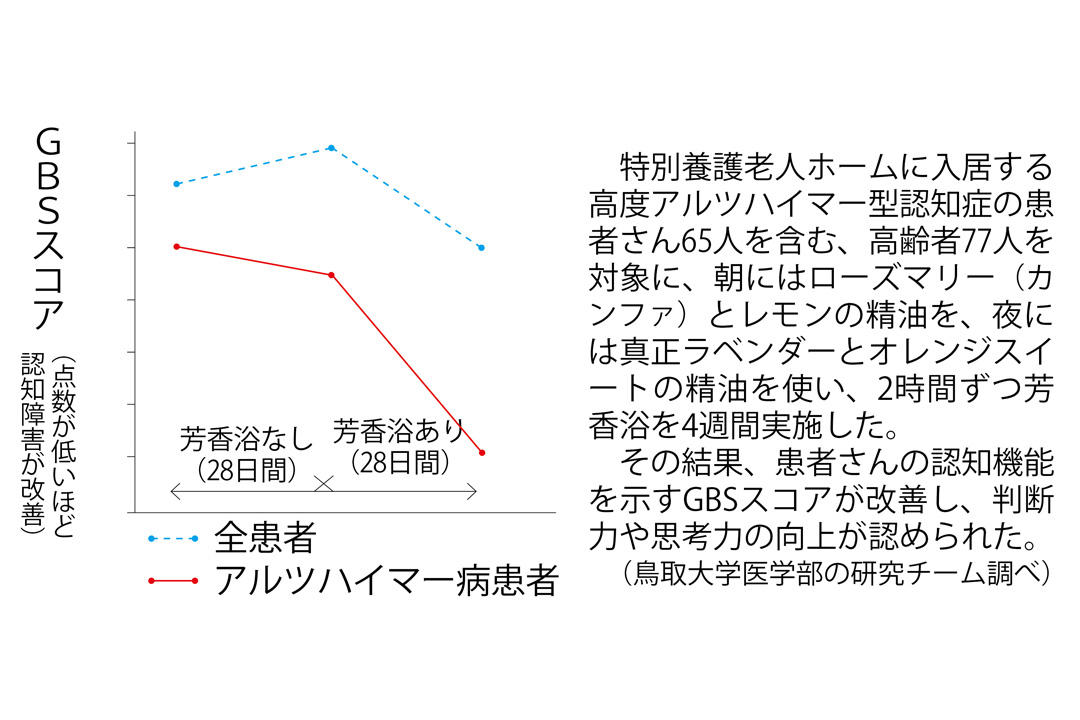 GBSスコア_テスト.jpg