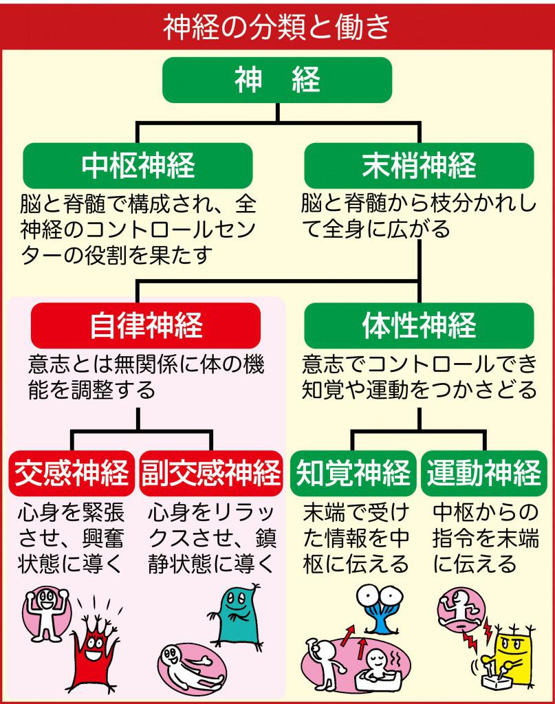 神経 内科 と は 自律 神経