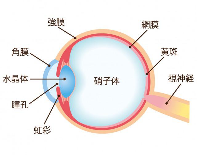 Glaucoma illustration.jpg