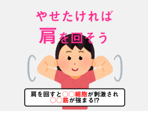 カンタンに脂肪燃焼細胞が活性化し、ヤセる!? 肩回し、しよう