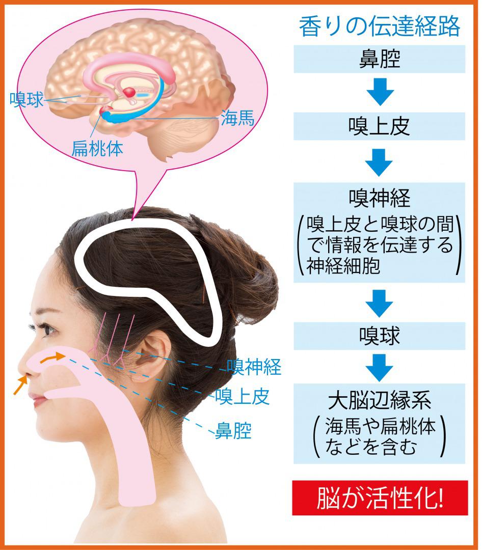 s_香り脳トレ2.jpg