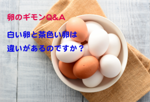 卵の赤玉と白玉。味や栄養価に違いはある？【卵のギモンQ&A④】