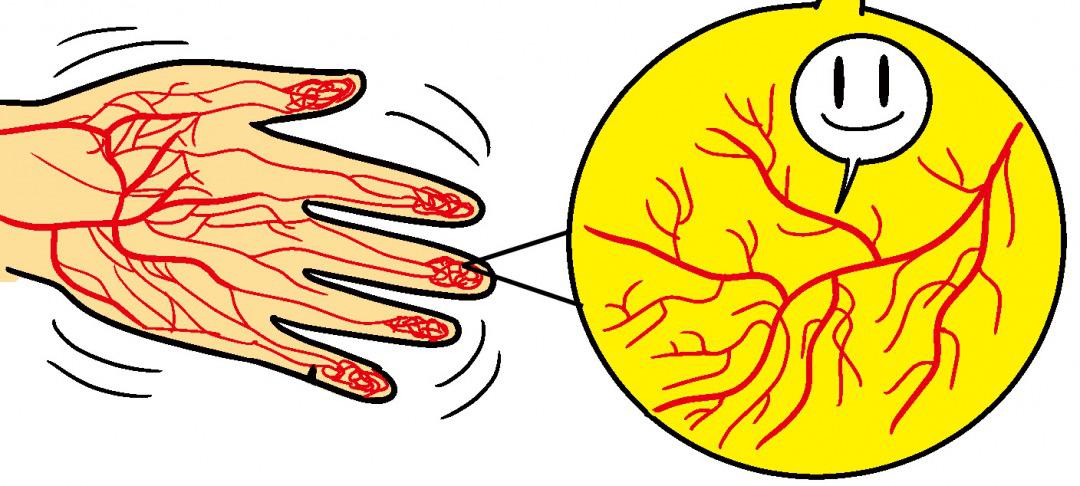 blood-capillaries.jpg