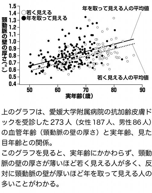 s_見た目　グラフ.jpg