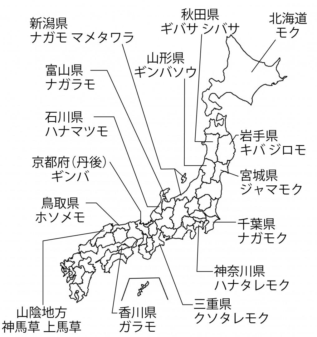 s_アカモクの呼び名.jpg