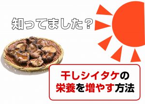 干しシイタケの栄養が増える食べ方【日光に少し当てるだけ】