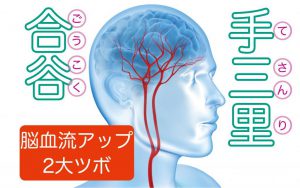 【認知症予防体操②】認知機能アップを試験で実証！脳の血流アップが期待できる2大ツボ刺激