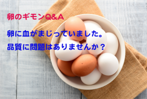 卵を割ったときに血がまじってた。品質に問題はあるの？【卵のギモンQ&A⑧】