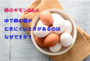 ゆで卵の殻が上手にむけない理由は？上手なむき方も教えて【卵のギモンQ&A⑮】