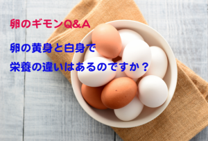 卵には黄身と白身があります。栄養の違いはありますか？【卵のギモンQ&A①】