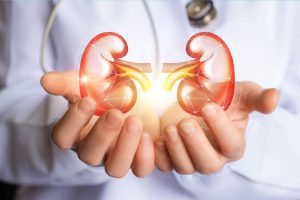 慢性腎臓病（CKD）の原因｜糖尿病・高血圧は要注意、メタボも危険と専門医が警鐘