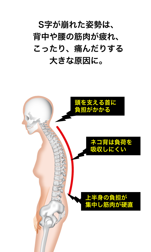 凛座