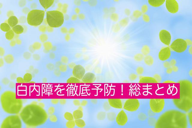 白内障の予防法〜眼科医が教えるメガネ＆サングラス選び、食べもの、目の体操など〜