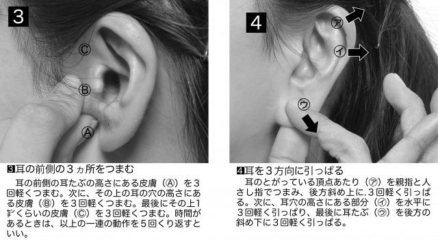 s_Ear structure16 (1).jpg