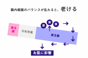 "便秘"と"老け"の関係性。便秘だと老化スピードが早くなる