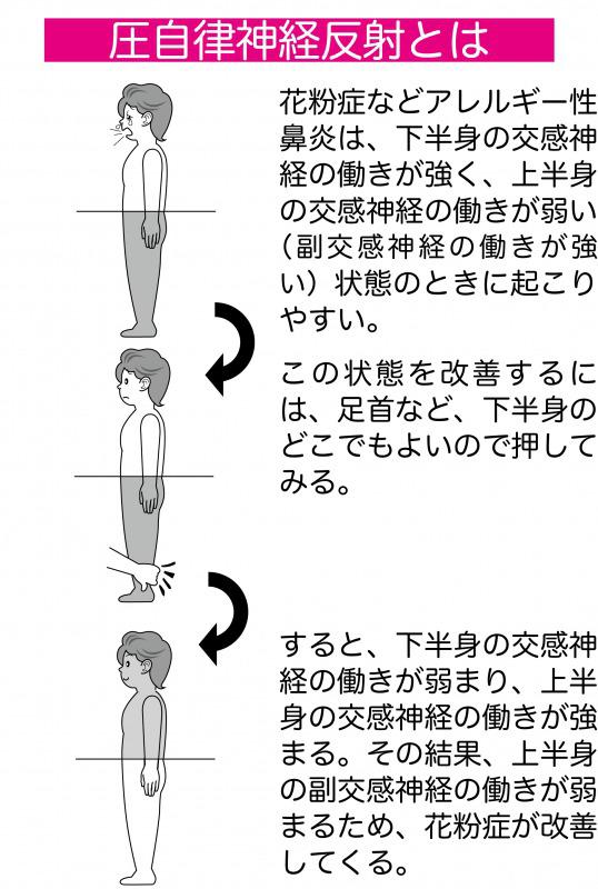 自律 神経 反射