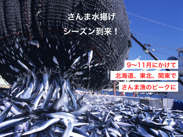 sanma1.png