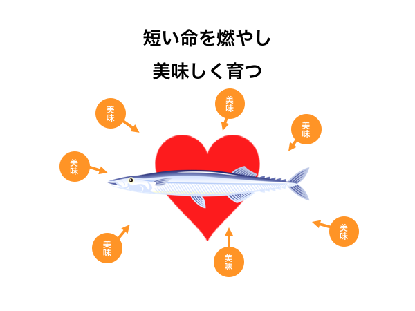 sanma1.png