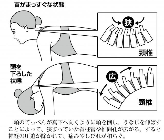 unazinobashi2.jpg